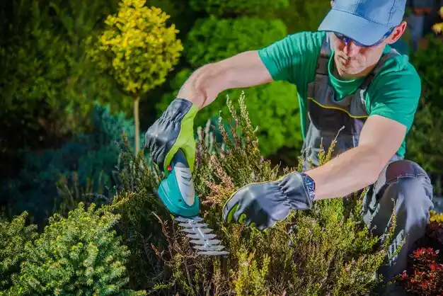 landscaping services Fairfax